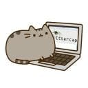 Favicon of cpufetch