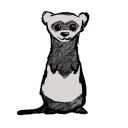 Favicon of duf