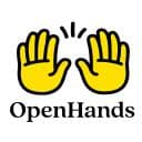 Favicon of OpenHands CLI