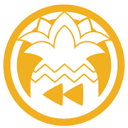 Favicon of rizin